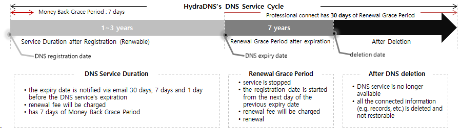 DNS_ENG_2